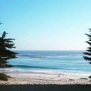 Meet your Posher, Meagan